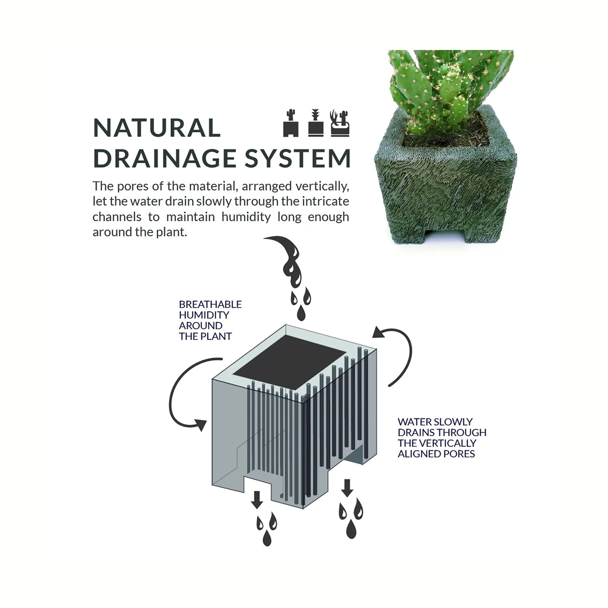 Natural Drainage System