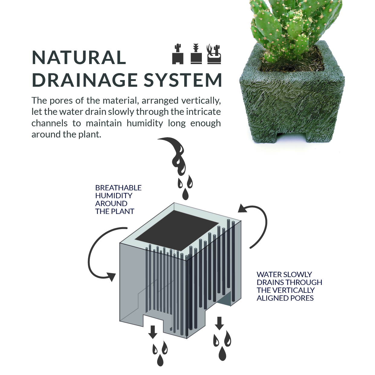 natural drainage graphic